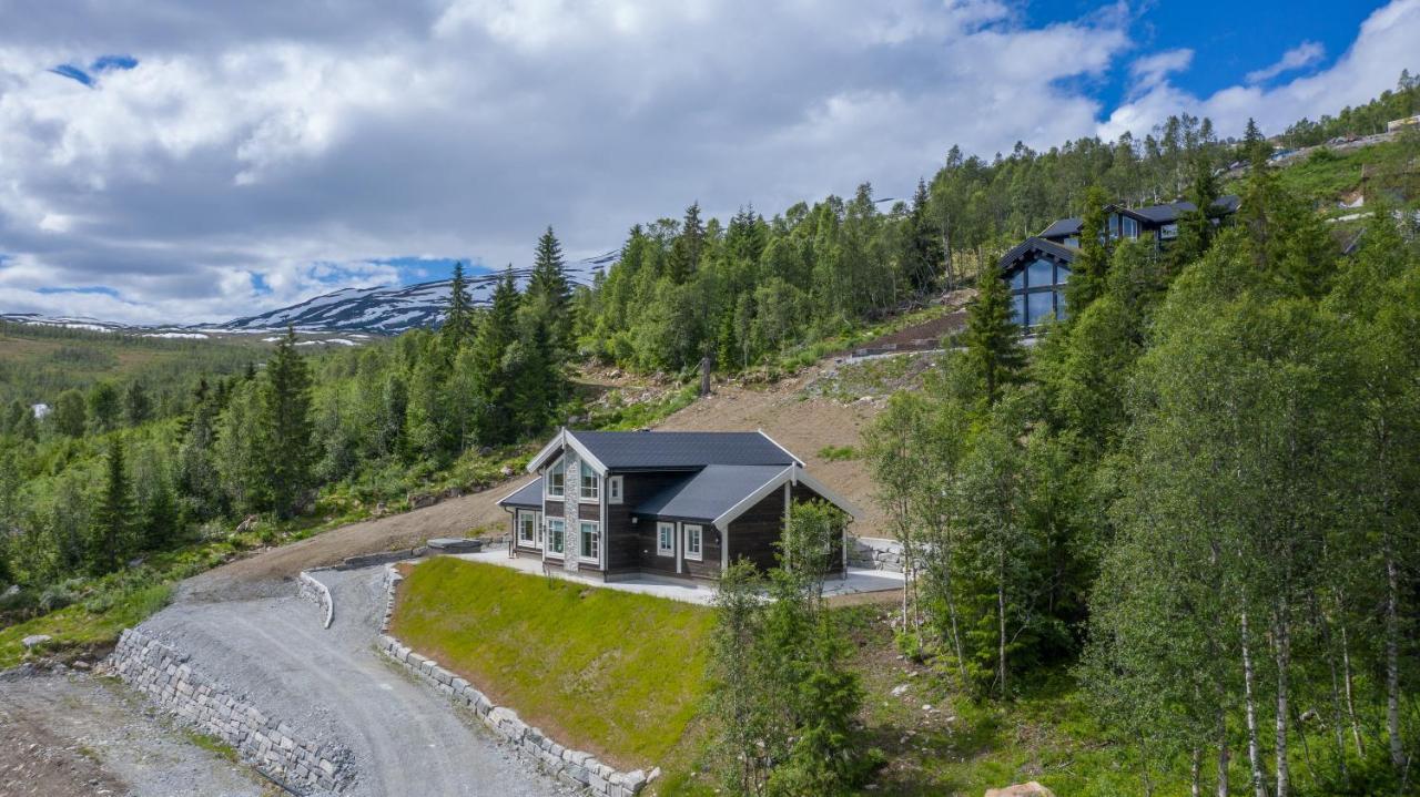 Rolfhytta - Fosskamben 19 Villa Sogndal Exterior photo